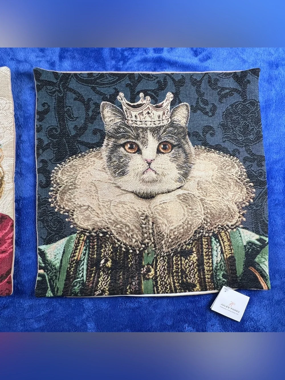 J pansu cats already
